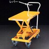EA520X-2 500x830mm/250kg テーブルリフト エスコ 49896918