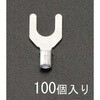49920054