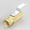 EA496DC-2 NPT1/4”xNPT1/4” ボールバルブ エスコ 49961327