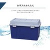 EA505-17 548x470x498mm 収納ケース(密閉式) エスコ 49963138