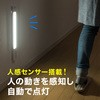 800-LED019 LEDZT[Cg (}Olbgt)p T_CNg 50010328