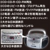 YCD-C601(S) LI XeICDWJZ(ChFMΉ) YAMAZEN(RP) 50013216