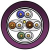 50053807