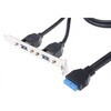 USB メス メス