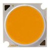 Cree COB LED 白 (27.35 x 27.35 x 1.7mm) CREE