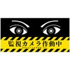防犯標識 CPS-01 不法投棄は犯罪です グリーンクロス