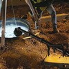 EA758SJ-10 [充電式] 作業灯/LED エスコ 50221237