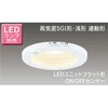 人感センサー付きダウンライト
