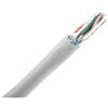 CAE Multimedia Connect Cat5e Lanケーブル CAE Multimedia Connect