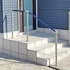 50264447