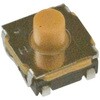 50273738