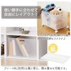 NIB-LCL squ+ i` C{bNX TJ 50340904