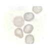 L55-8227 vp[g iJ 50445414