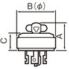 50461653