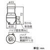50462037