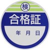 50535538