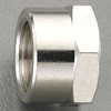 50565804