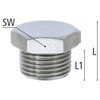 50565926