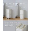CLEVANハーフ2(IV) キャスター付きランドリーバスケット 平和工業 50587725