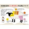 - [Ⓚ]}cI Ⓚ tド 400g MATSUO(}cI) 50604690