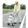 EA330FA-10 420x450x970mm/28kg プロパンボンベ用台車 エスコ 50617988