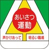 50634703