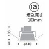 50636269