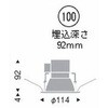 50636524