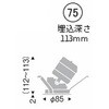 50638116