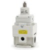 IR1010-01BG