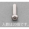 M5x12mm ナベ頭小ねじ(ステンレス/有磁性/20本) エスコ