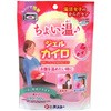 カイロ 電子レンジ