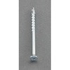 5.5x100mm 高トルク工具対応ビス(20本) エスコ