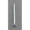 5.5x120mm 高トルク工具対応ビス(20本) エスコ