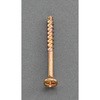 3.8x 25mm 木割れ解消ビス(50本) エスコ