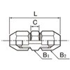 50704036