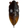 n[~ TYNY SIGLETT(^Cj[VO) Megabass(KoX) 50725336