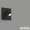 50749529