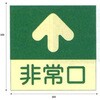 EA983AH-12 300x300mm [蓄光式]床用誘導標識 エスコ 50753203