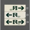 50753282