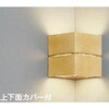 50760309