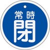 50763904