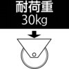 EA986GG-1 50mm キャスター(固定金具・ESD) エスコ 50772898