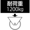 EA986KW-4 250mm キャスター(自在金具・前輪ブレーキ付) エスコ 50775612