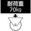 EA986MC-2 100x30mm 車輪(ラバータイヤ・PPリム・ローラーベアリング) エスコ 50776145