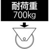 EA986NM-100 100mm キャスター(固定金具・スティール車輪) エスコ 50777073