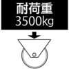 EA986NV-250 250mm キャスター(スティール車輪・レール用) エスコ 50777168