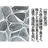 EA997EM-6 2000x1000mm/ 6mm厚 断熱シート(粘着付) エスコ 50805572