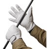 AG041 �R�r�N���X�g �}�W�b�N�A�e�t ACE GLOVE(�G�[�X�O���[�u) 50811304