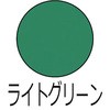 50840223